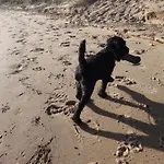 Vakantiehuis Seaview District Coast