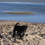 Seaview District Coast *