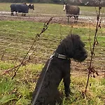 Seaview District Coast * Haverigg