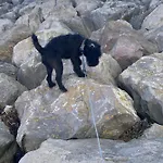 Seaview District Coast Vakantiehuis Haverigg