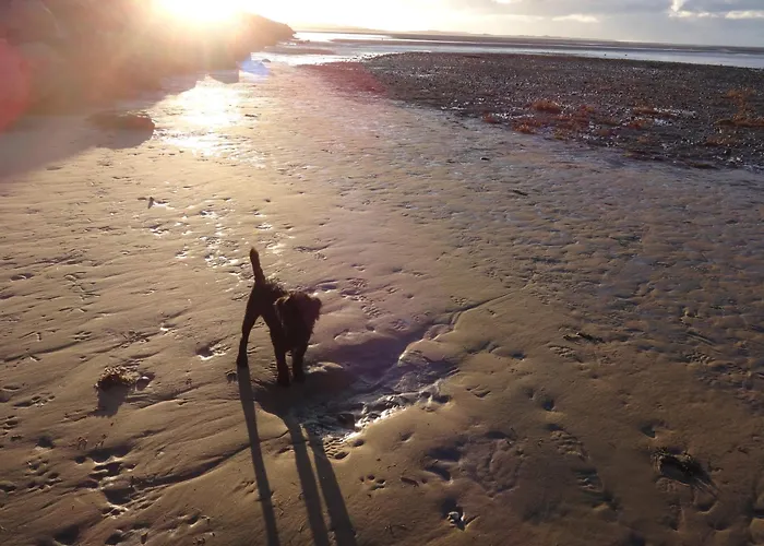 بيت للعطل Seaview District Coast *